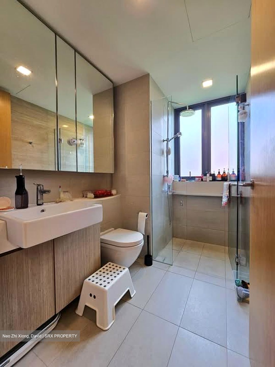 Thomson Three (D20), Apartment #574753481